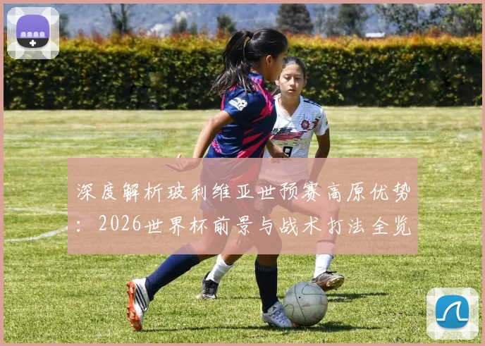 深度解析玻利维亚世预赛高原优势：2026世界杯前景与战术打法全览