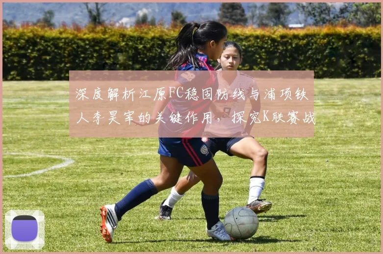 深度解析江原FC稳固防线与浦项铁人李昊宰的关键作用,探究K联赛战术焦点